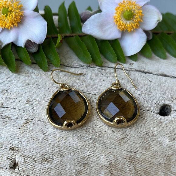 BROWN PENDANT DROP EARRINGS. - Picture 1 of 4